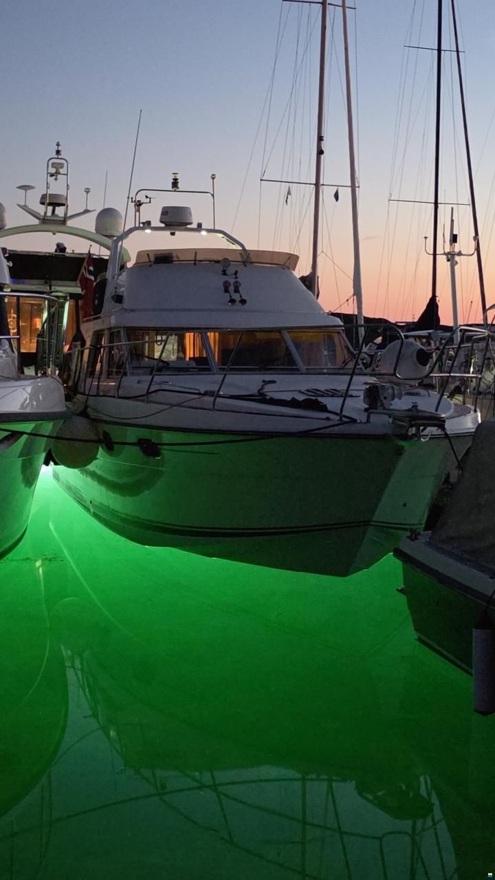 Princess 35