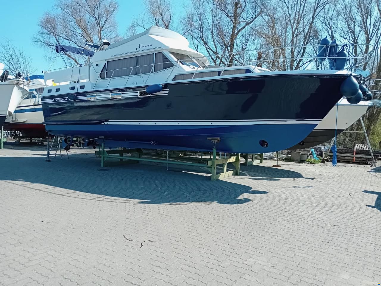 Neptunus 133