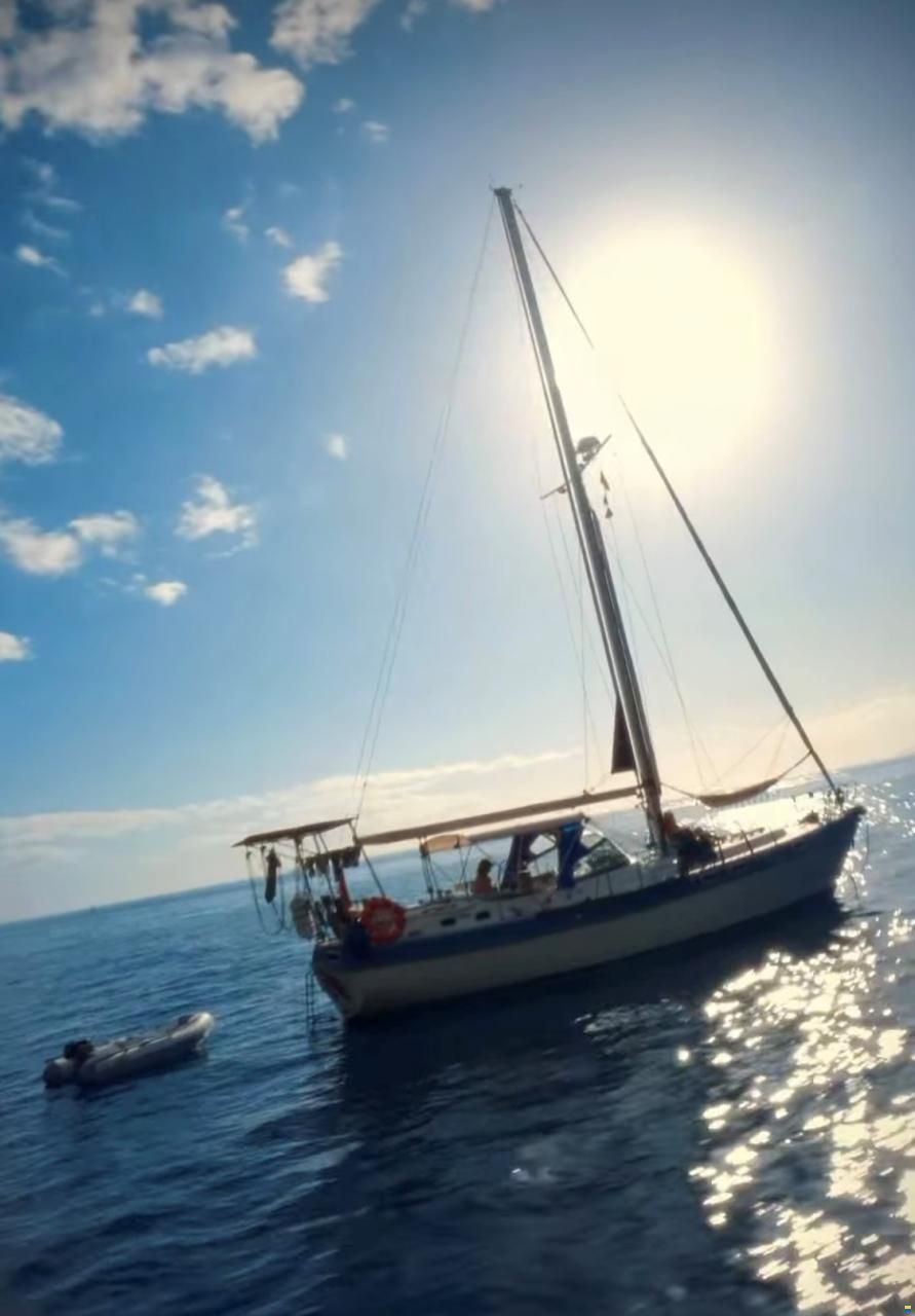 Catalina Morgan 41 MK II