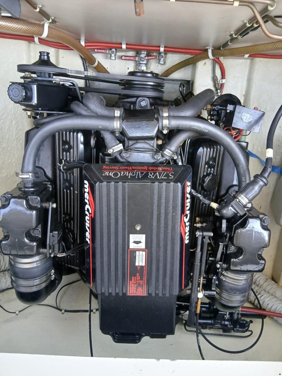 Windy 7800