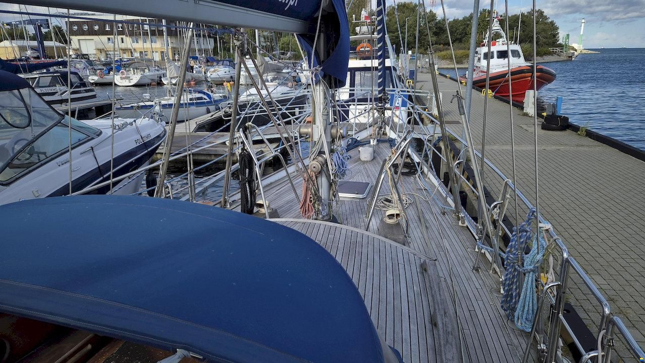 Bruceo 44