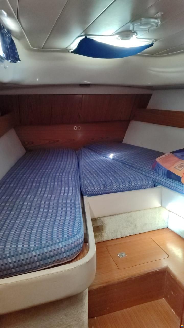 ALPA 42