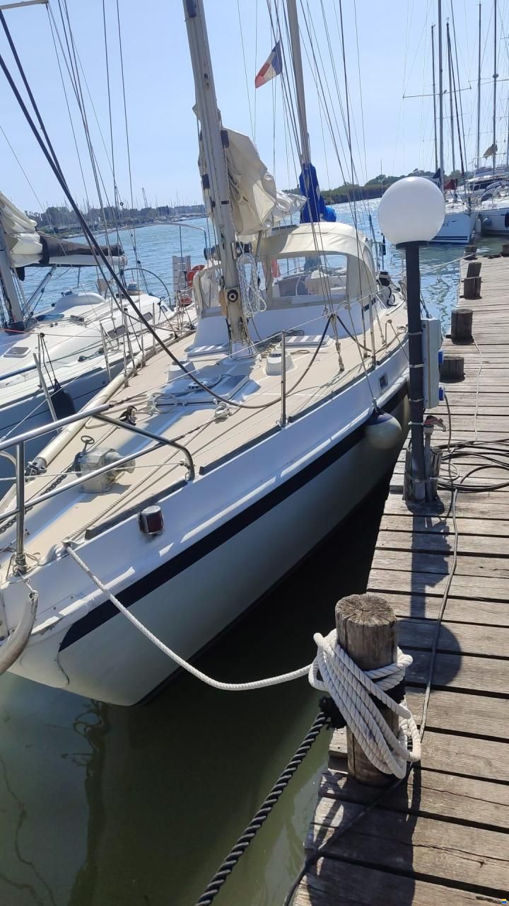 ALPA 42