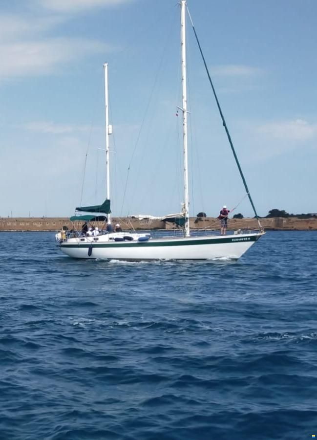 Taos Kelani 41