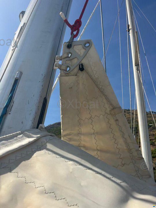 Bavaria 50
