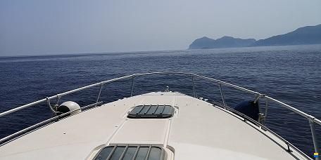 Piantoni Onda Blu 33