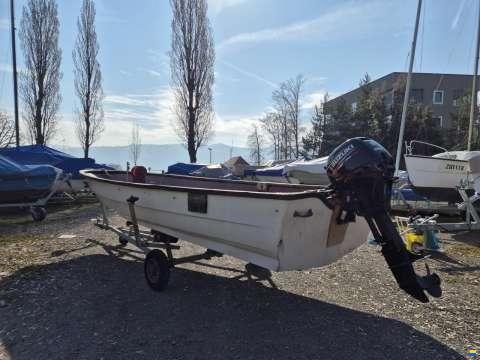 Fjord Ali Girl 15