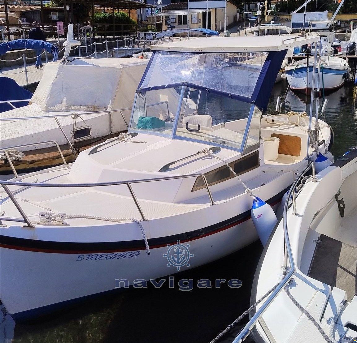 Gavazzi Luciano Alga 6