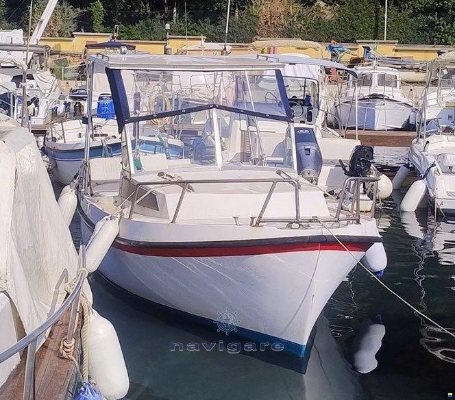 Gavazzi Luciano Alga 6