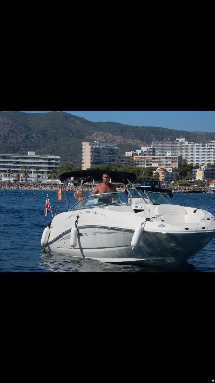 Sea Ray 260 Sundeck
