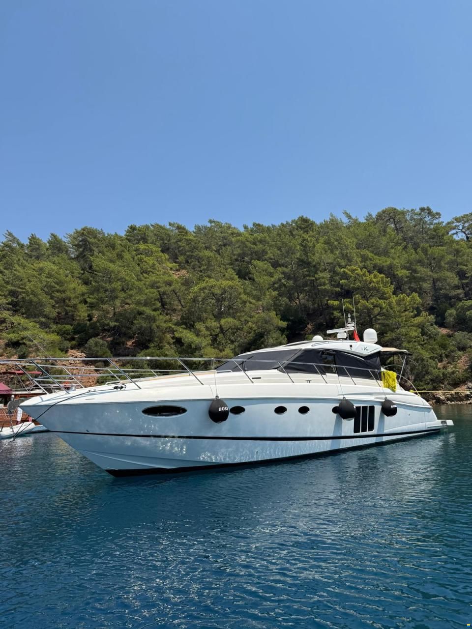 Princess V56