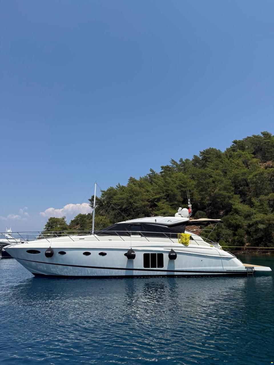 Princess V56