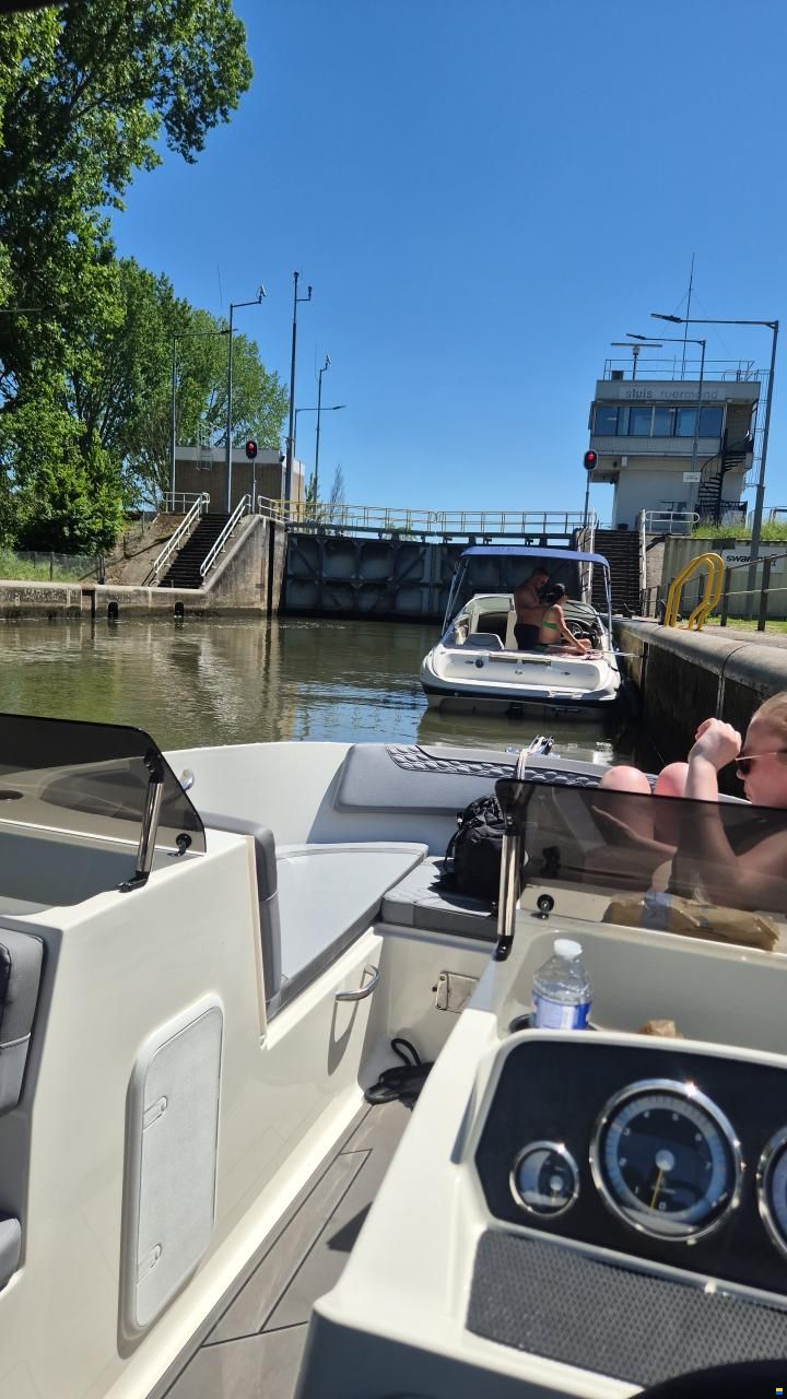 Bayliner M17