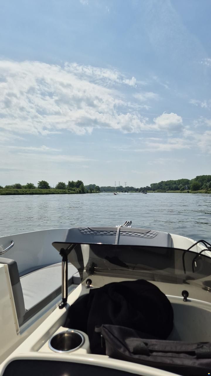 Bayliner M17
