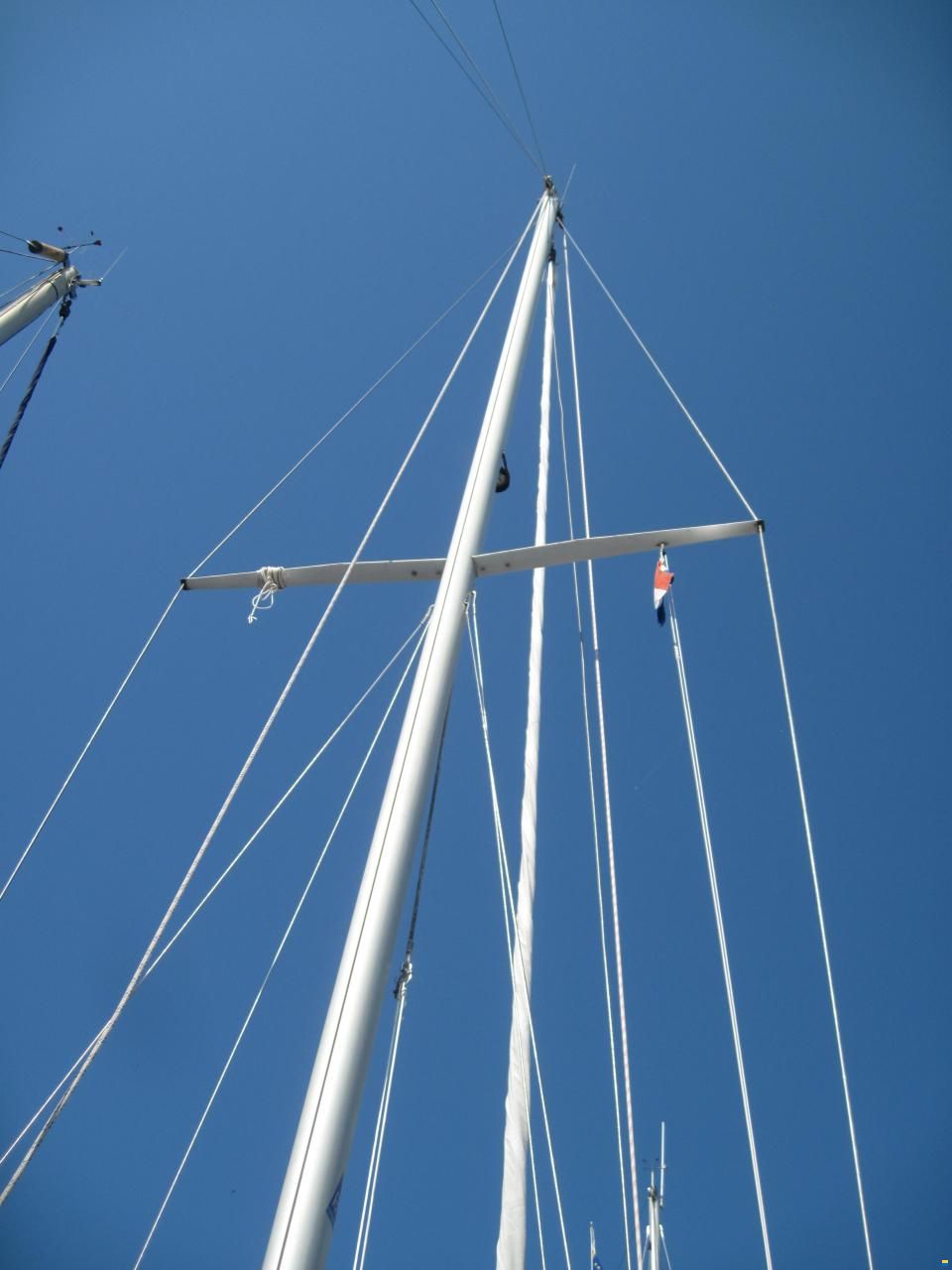 Rustler 31