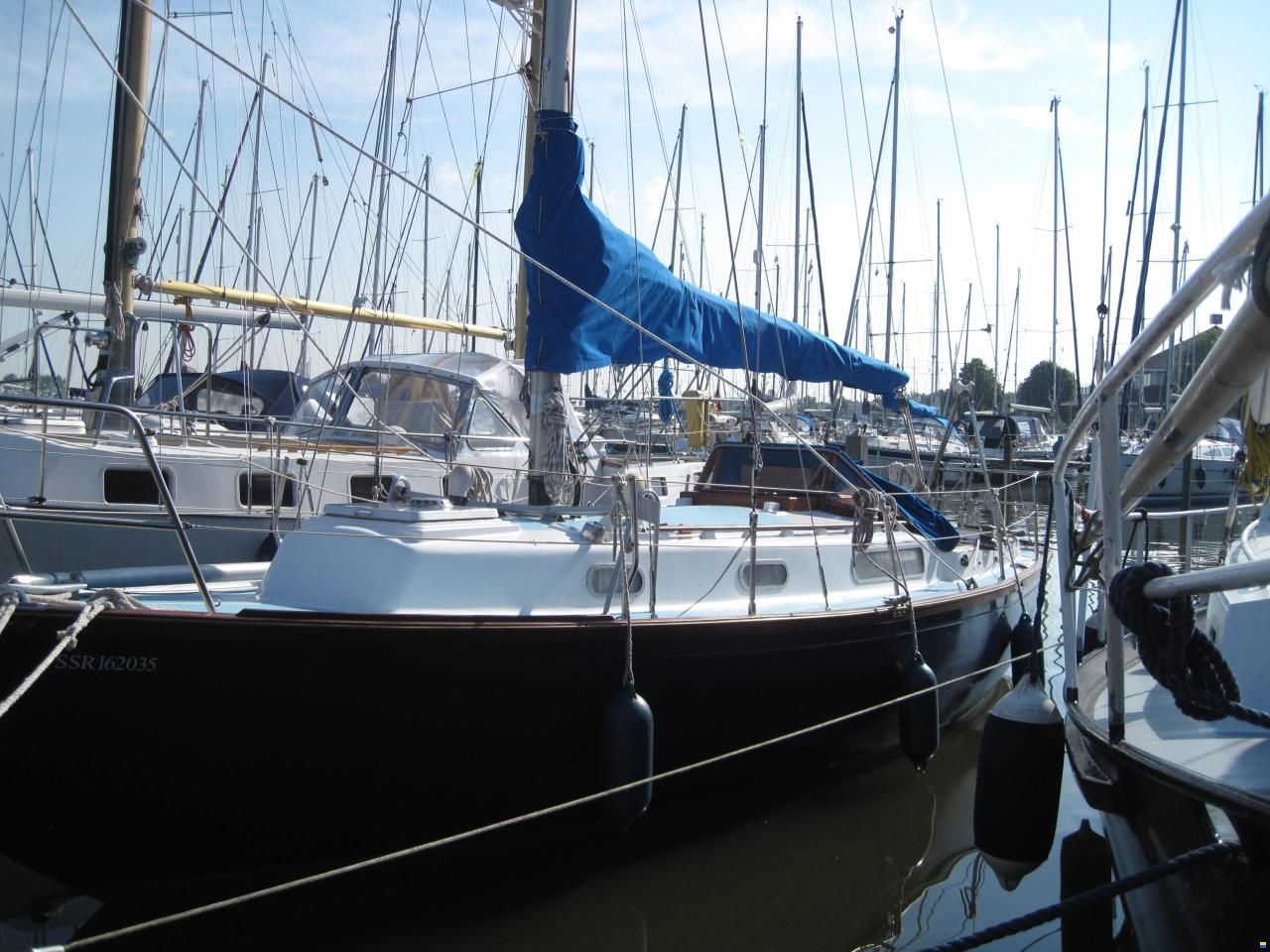Rustler 31