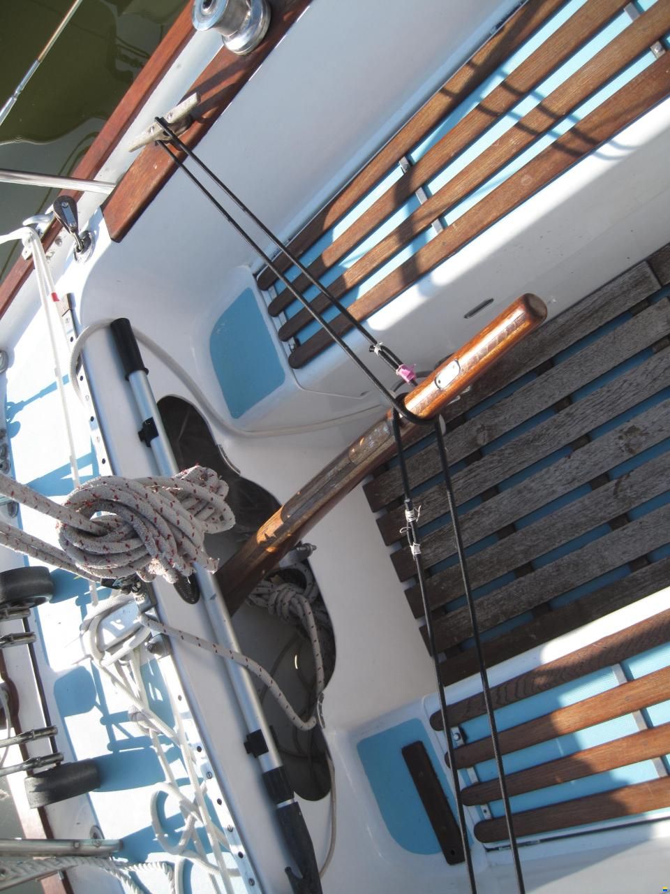 Rustler 31