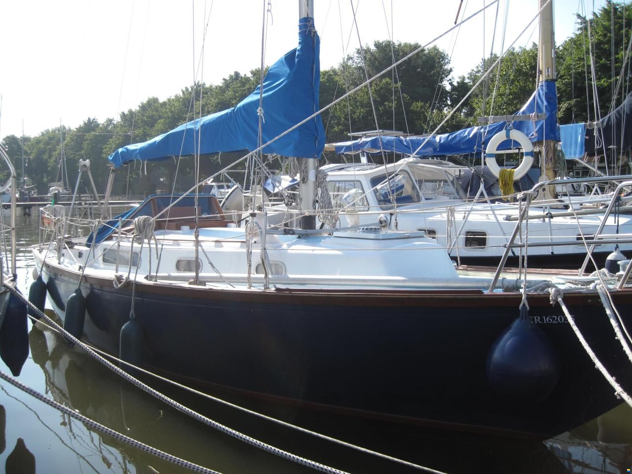 Rustler 31