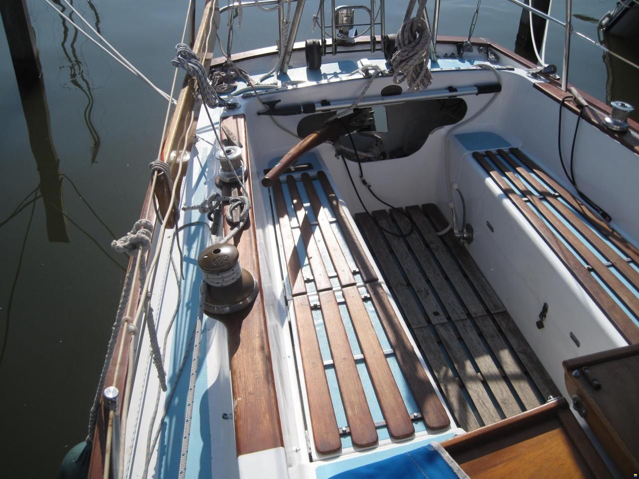 Rustler 31