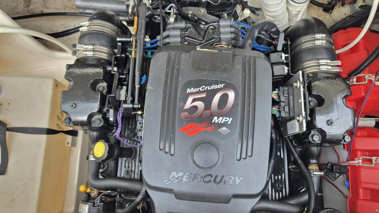 Rinker 232 Captiva Cuddy