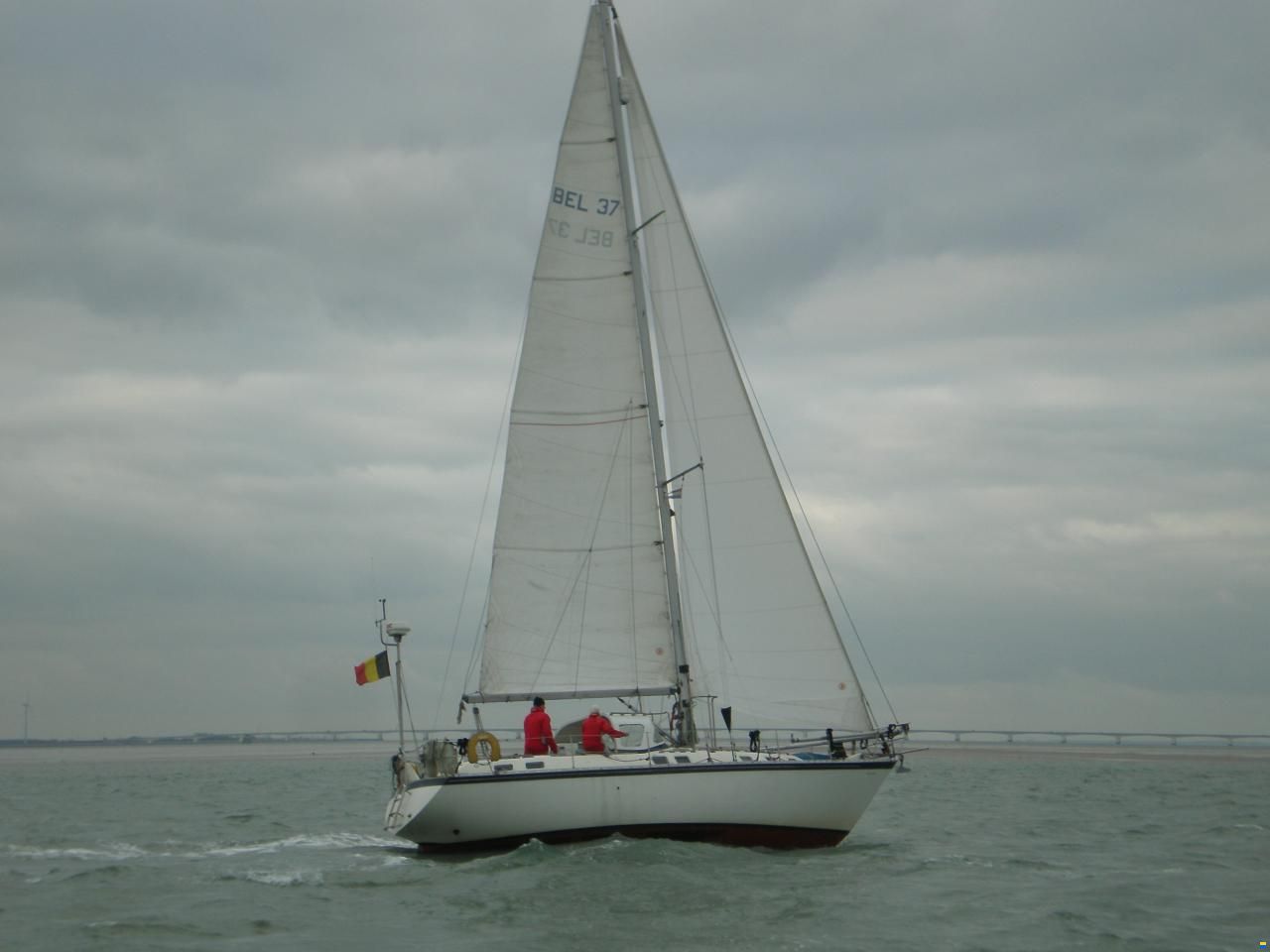 Colvic Countess 37CC