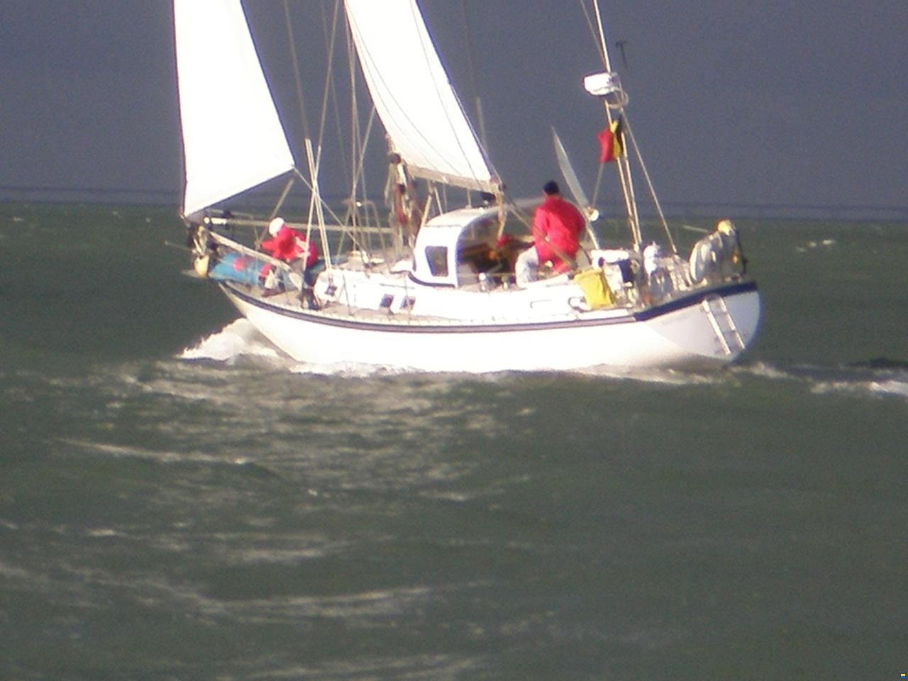 Colvic Countess 37CC