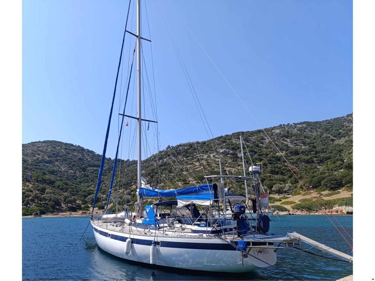 Kalik 44
