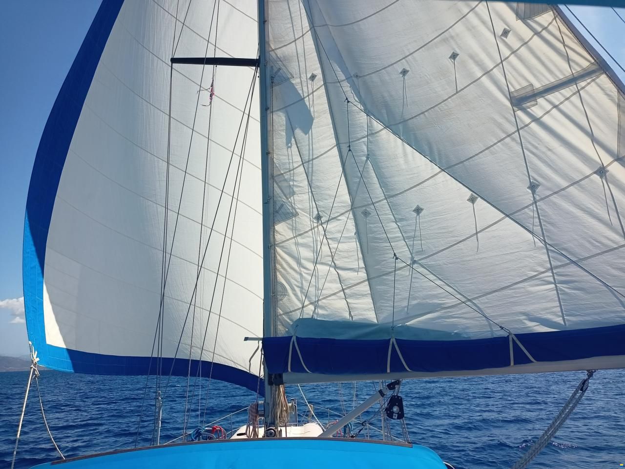 Kalik 44