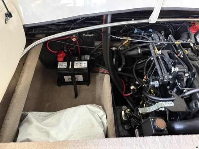 Stingray 195 CX