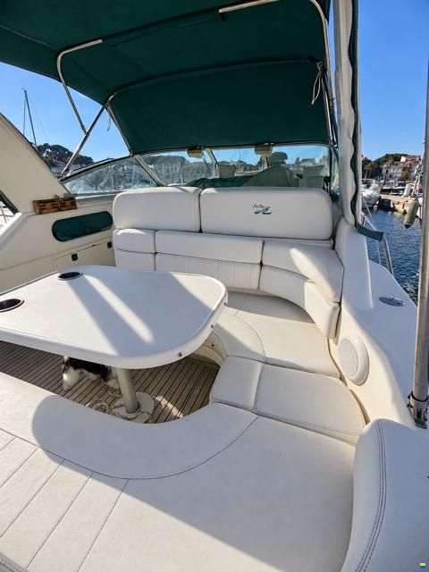 Sea Ray SUNDANCER 290