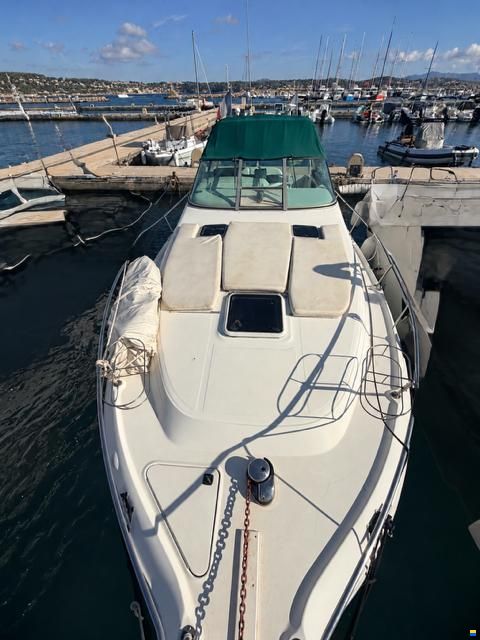 Sea Ray SUNDANCER 290