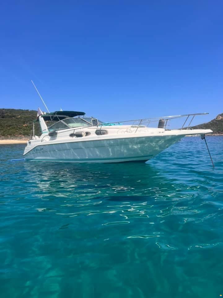 Sea Ray SUNDANCER 290