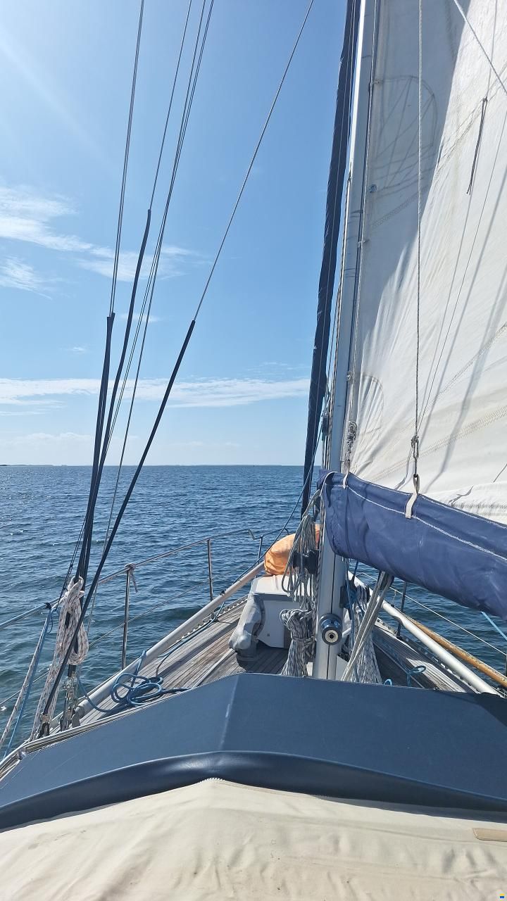 Van de Stadt Seal 36, Zeehond 36