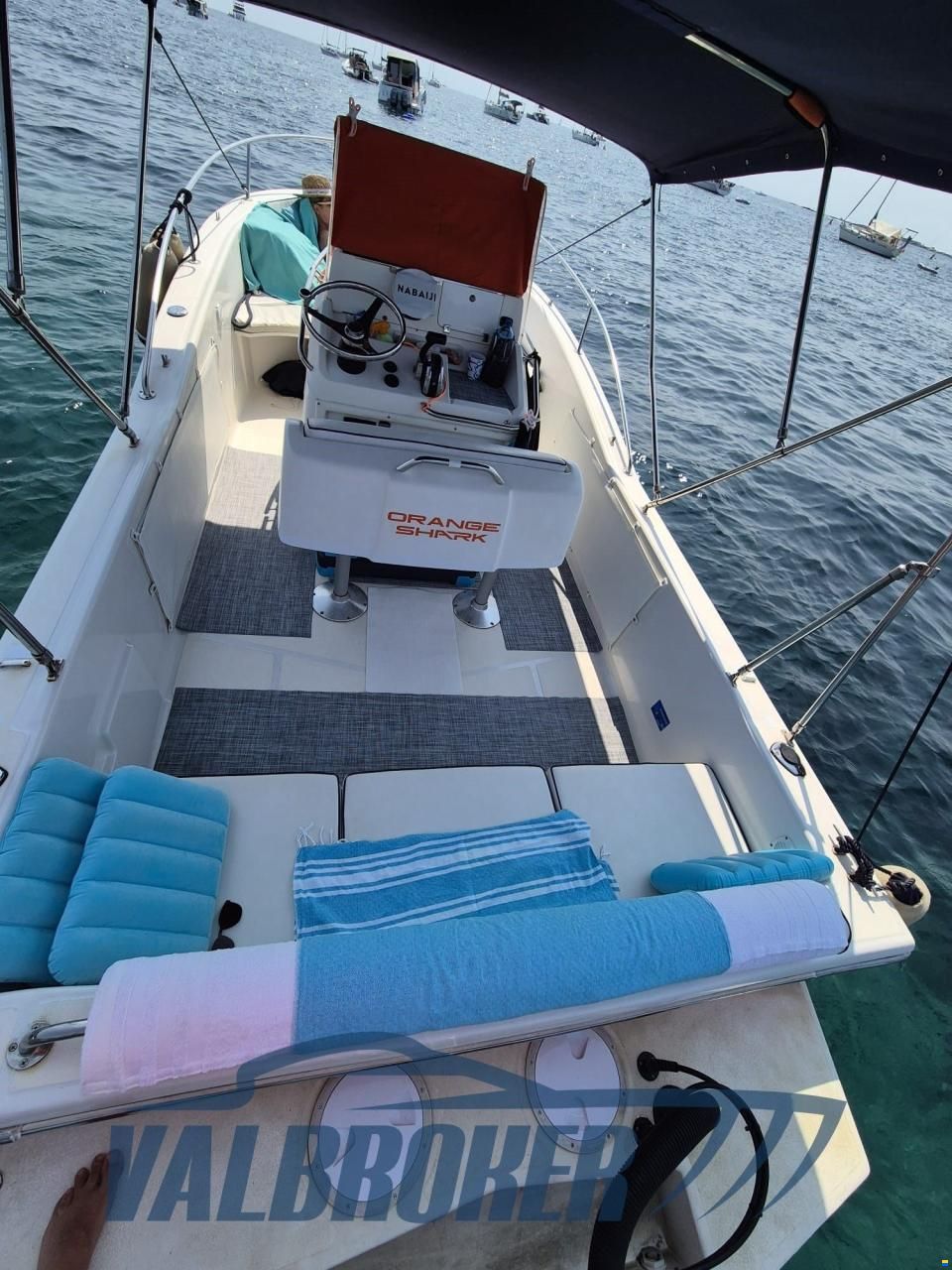 White Shark 205