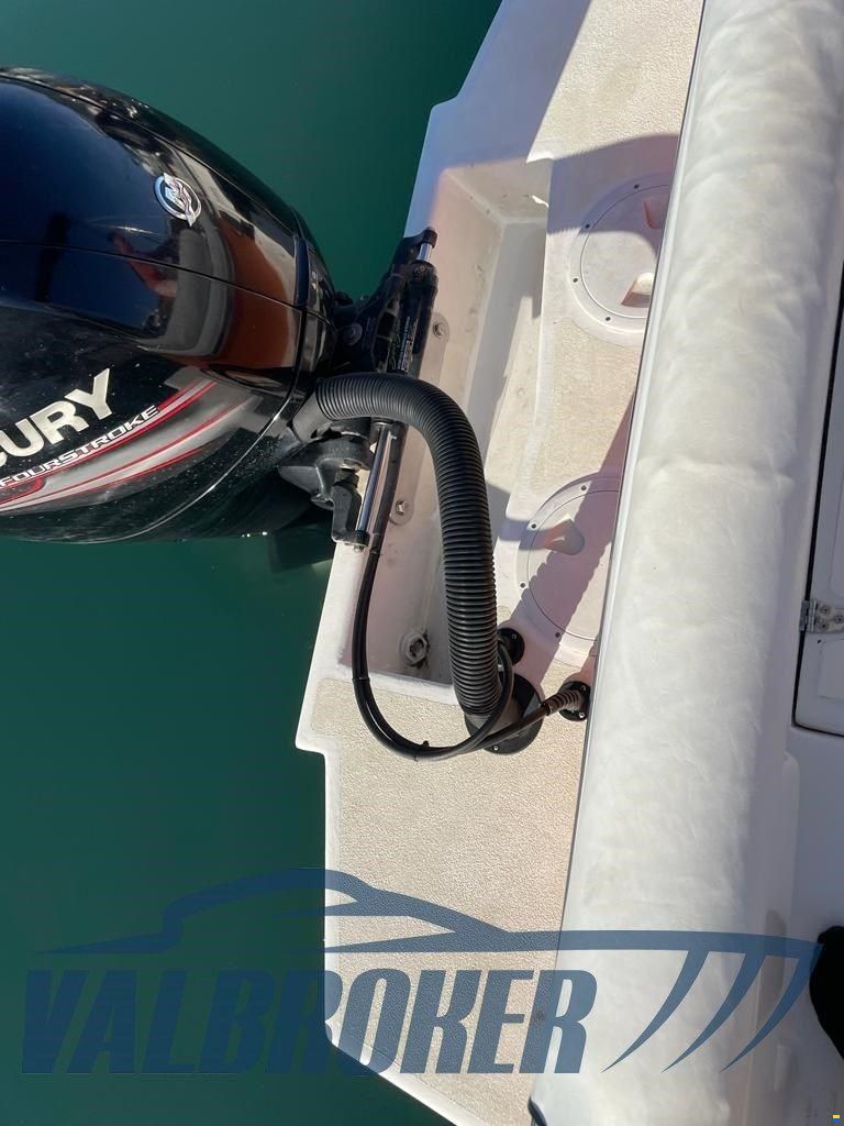 White Shark 205