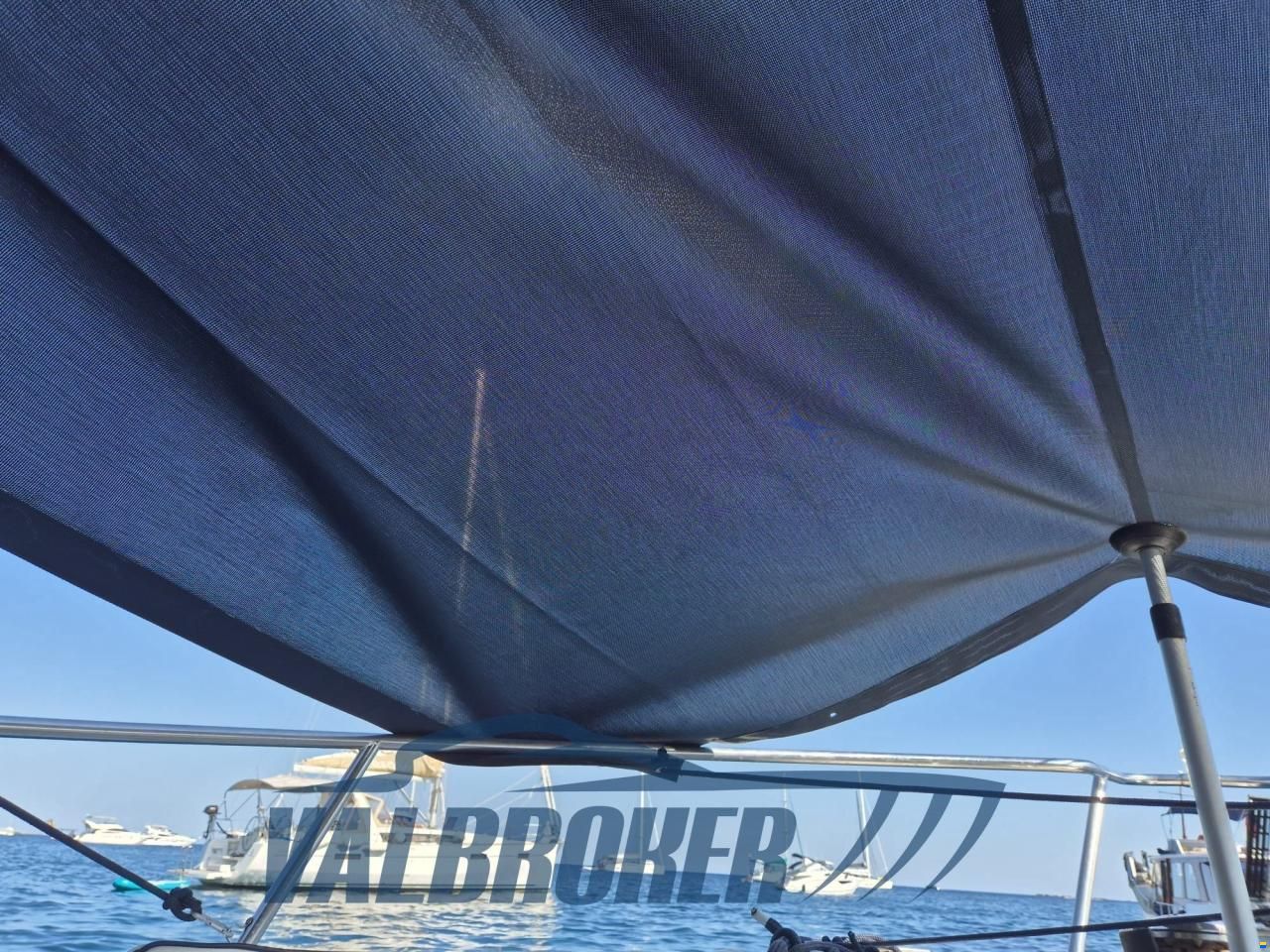 White Shark 205