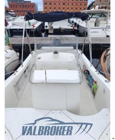 White Shark 205