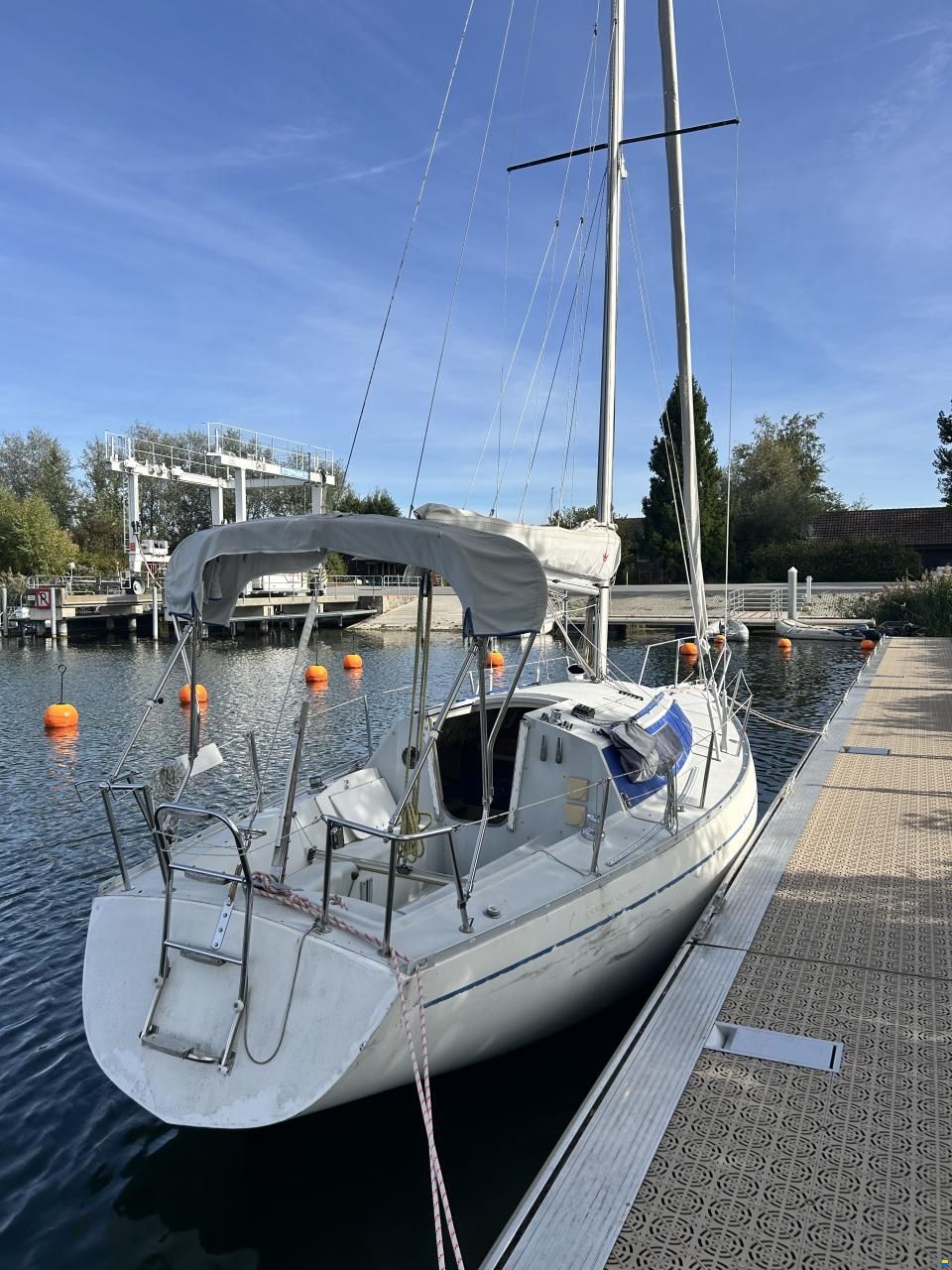Mallard Ecume de Mer