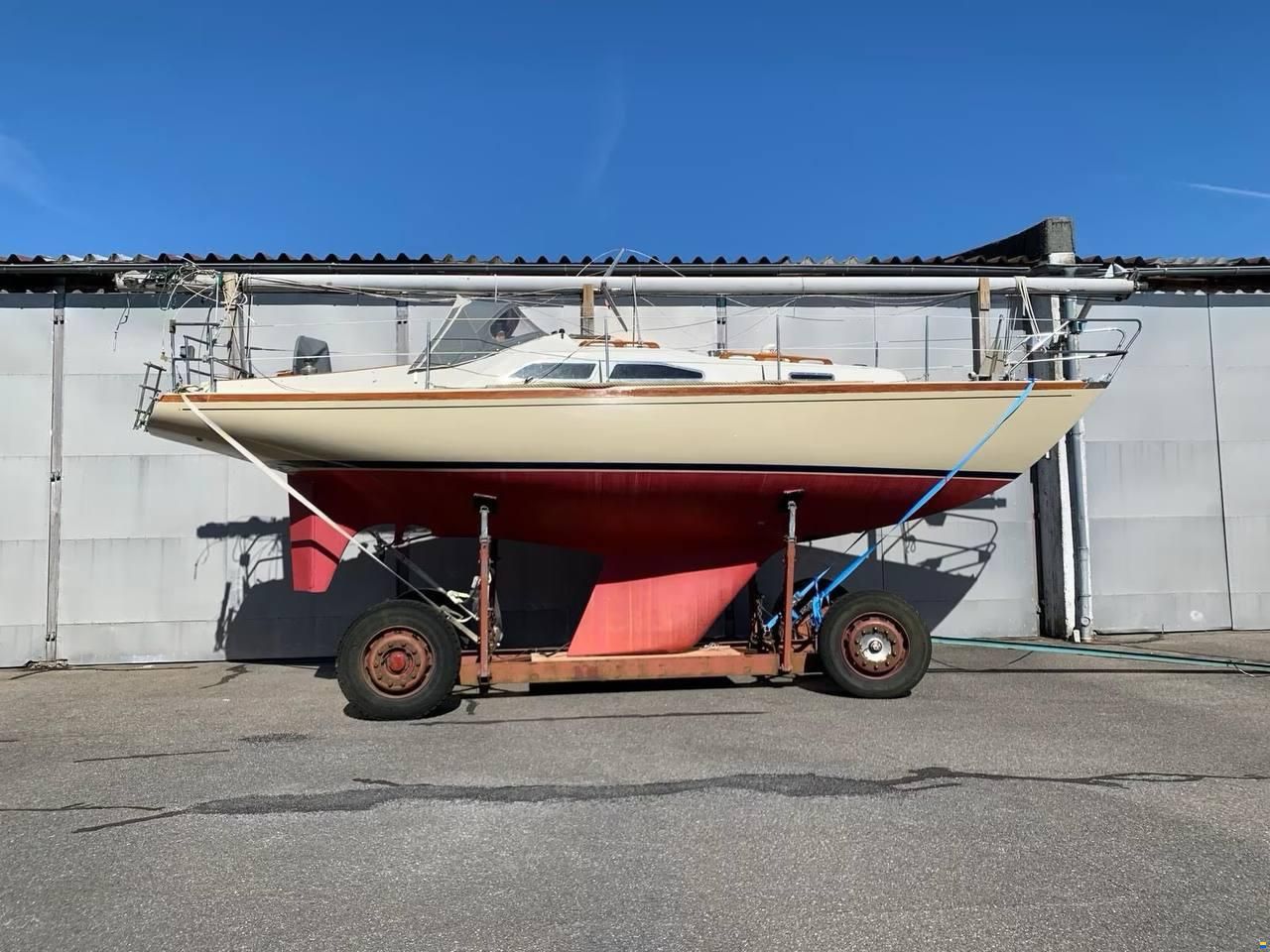 Bianca Commander 31