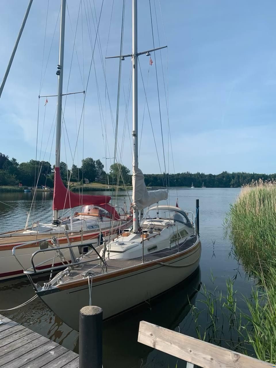 Bianca Commander 31