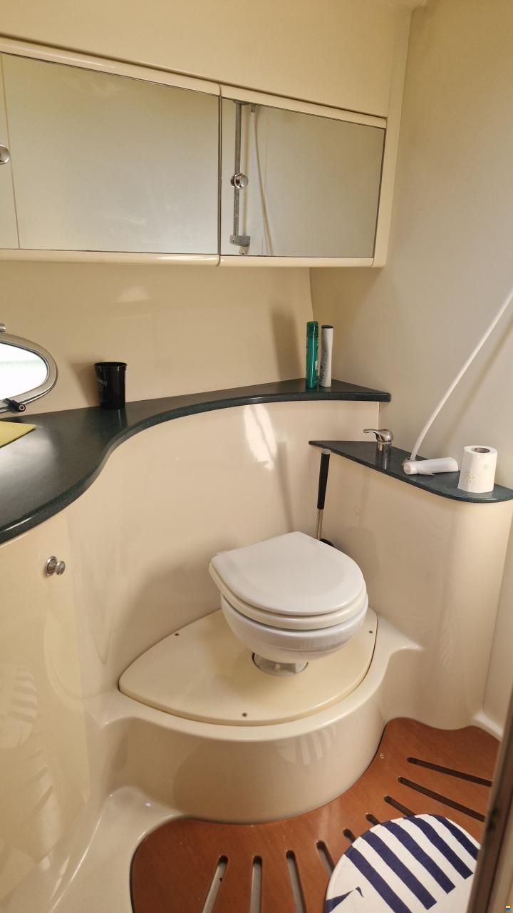 Sessa Oyster 40