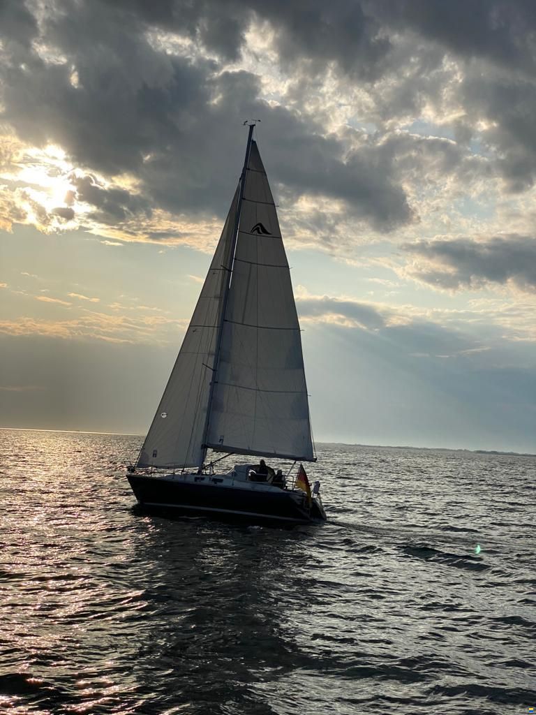 Hanse 331