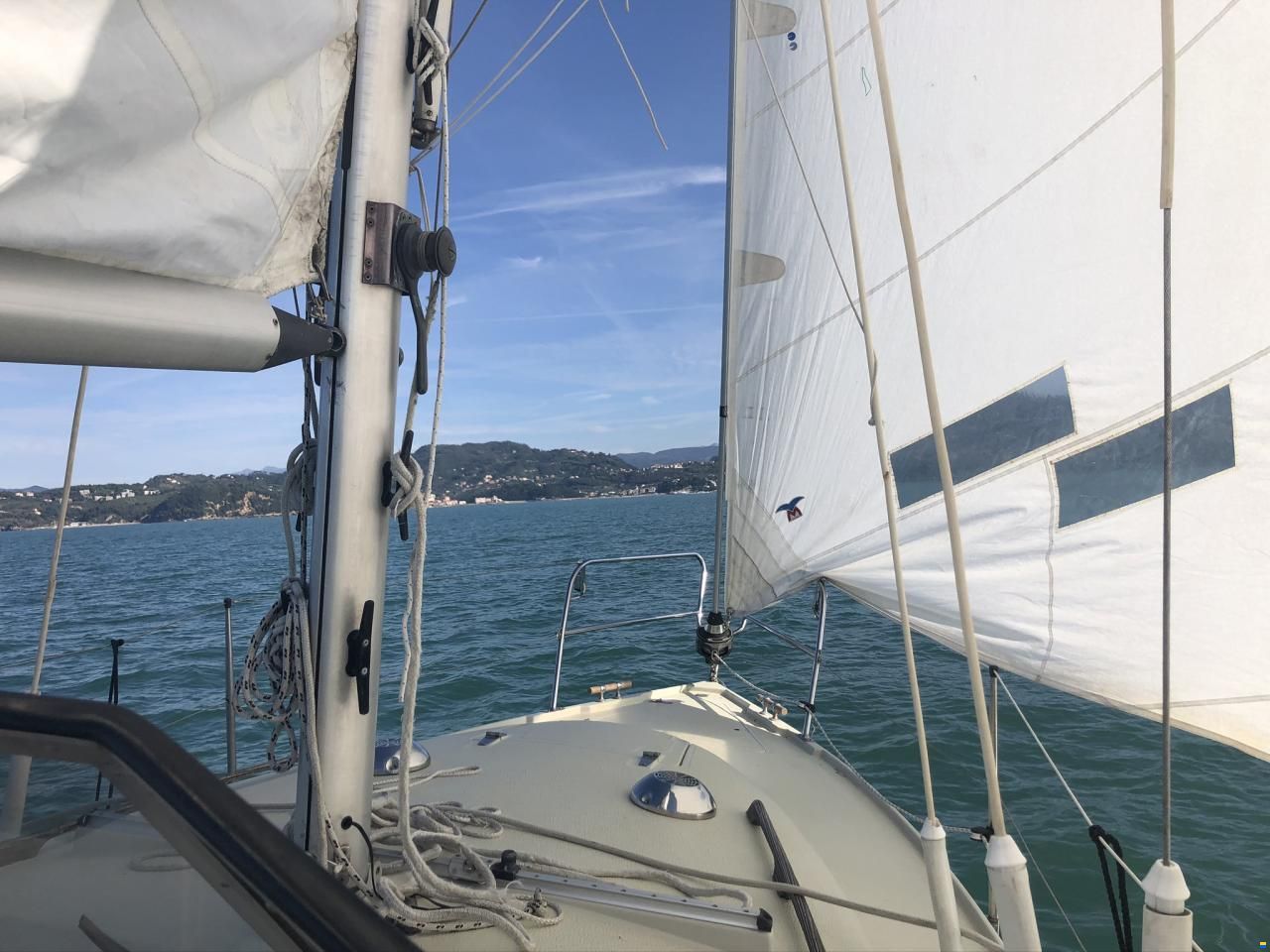 Albin 82 MS