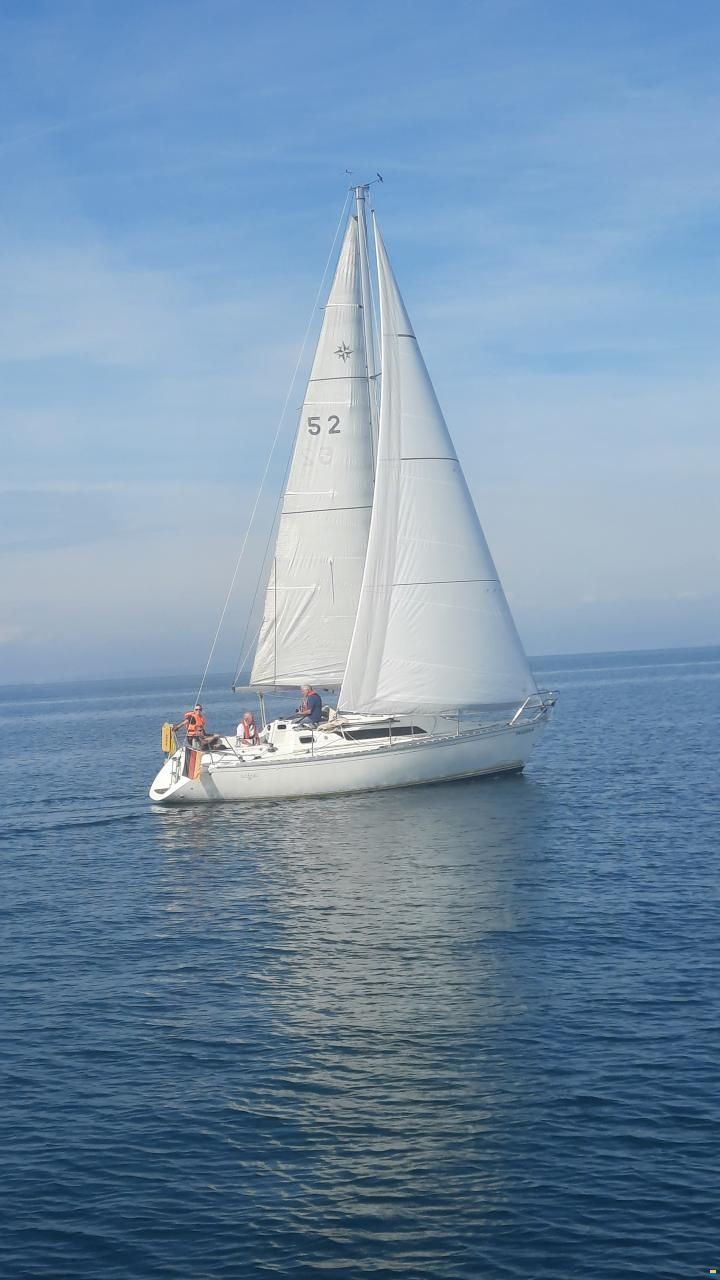 Jeanneau Sun Light 31