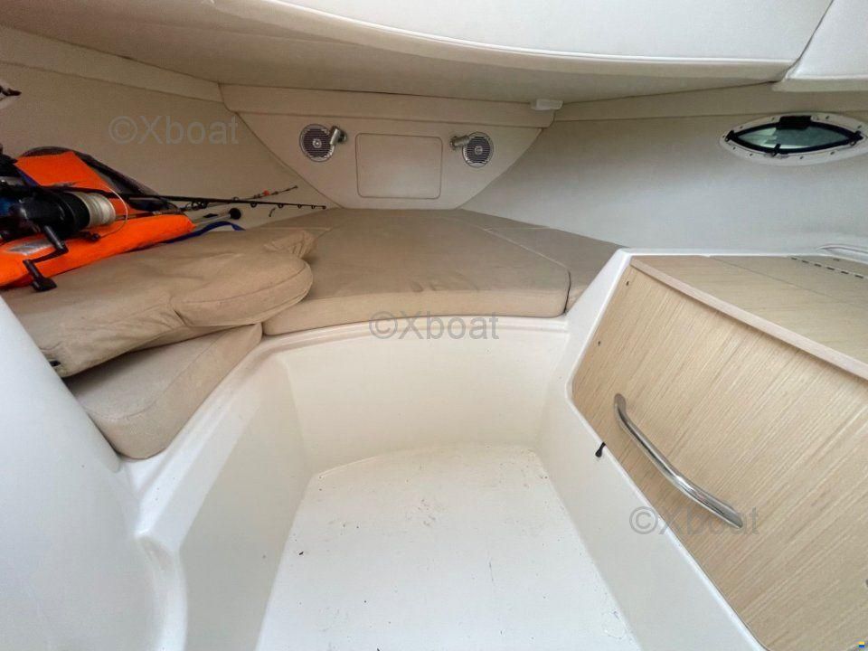 Bayliner Avanti 8