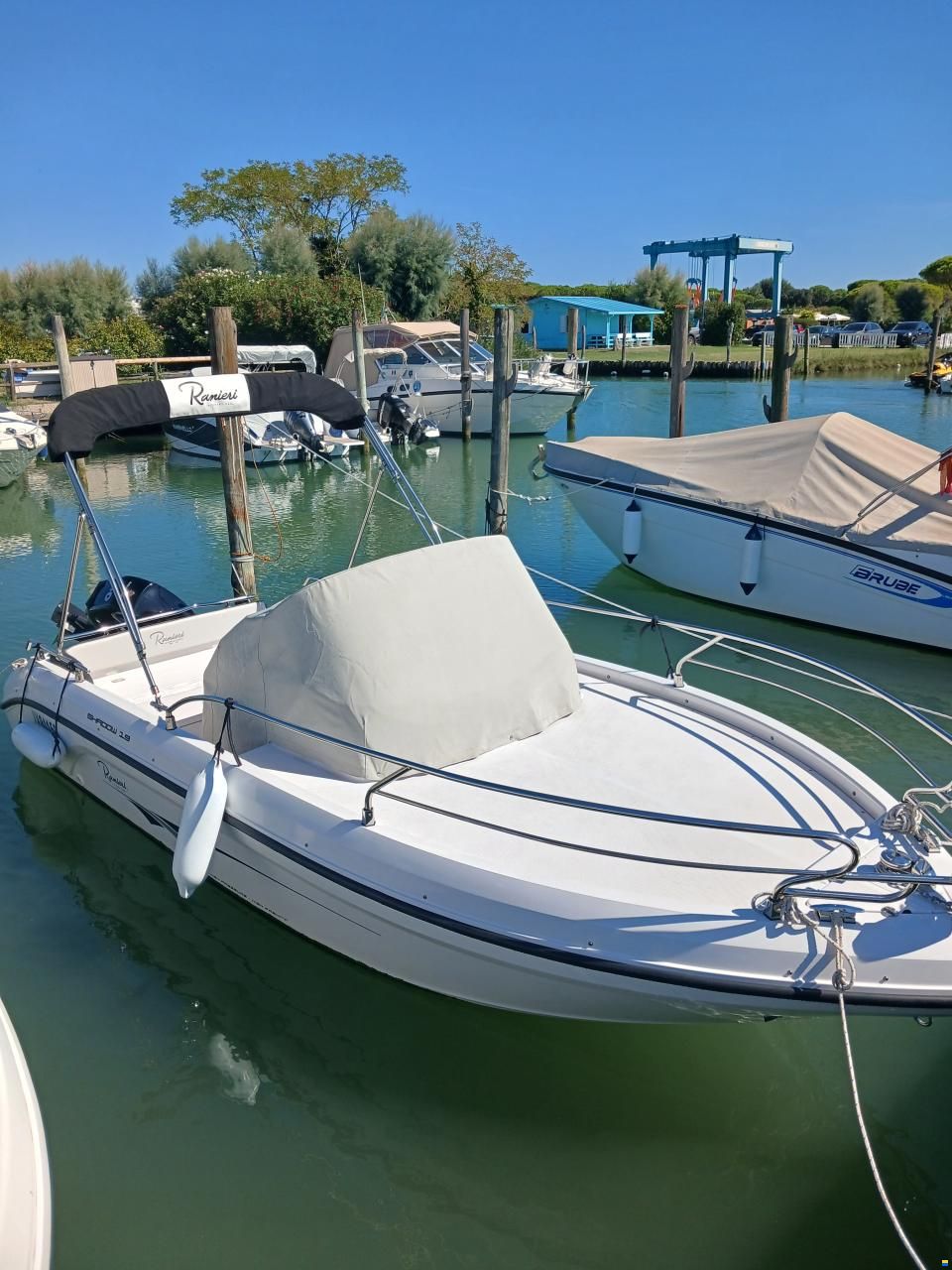 Ranieri Shadow 19