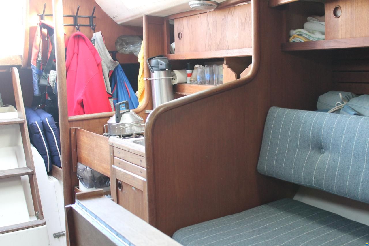 Helmsman Lady Helmsman