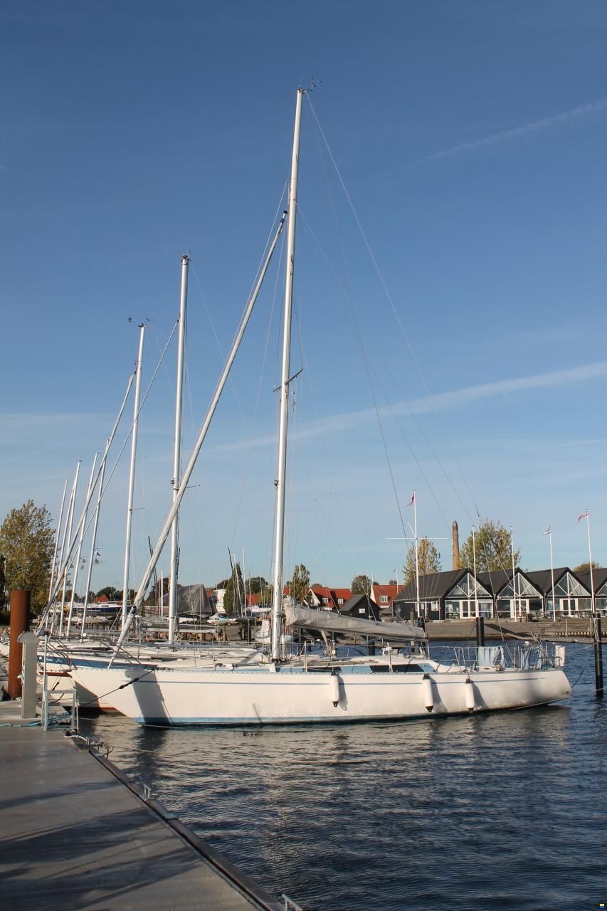 Helmsman Lady Helmsman