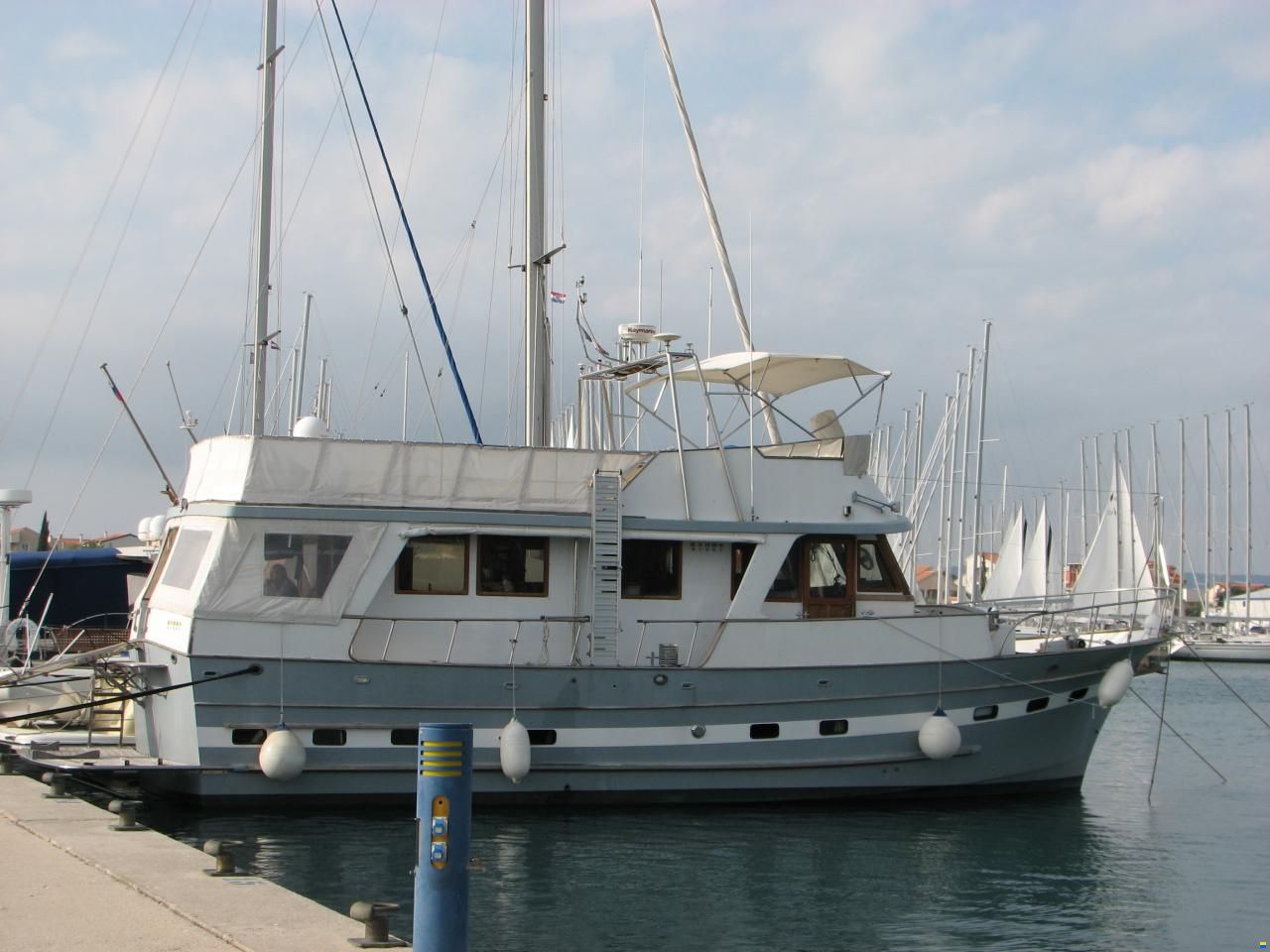 Blue Ocean 50