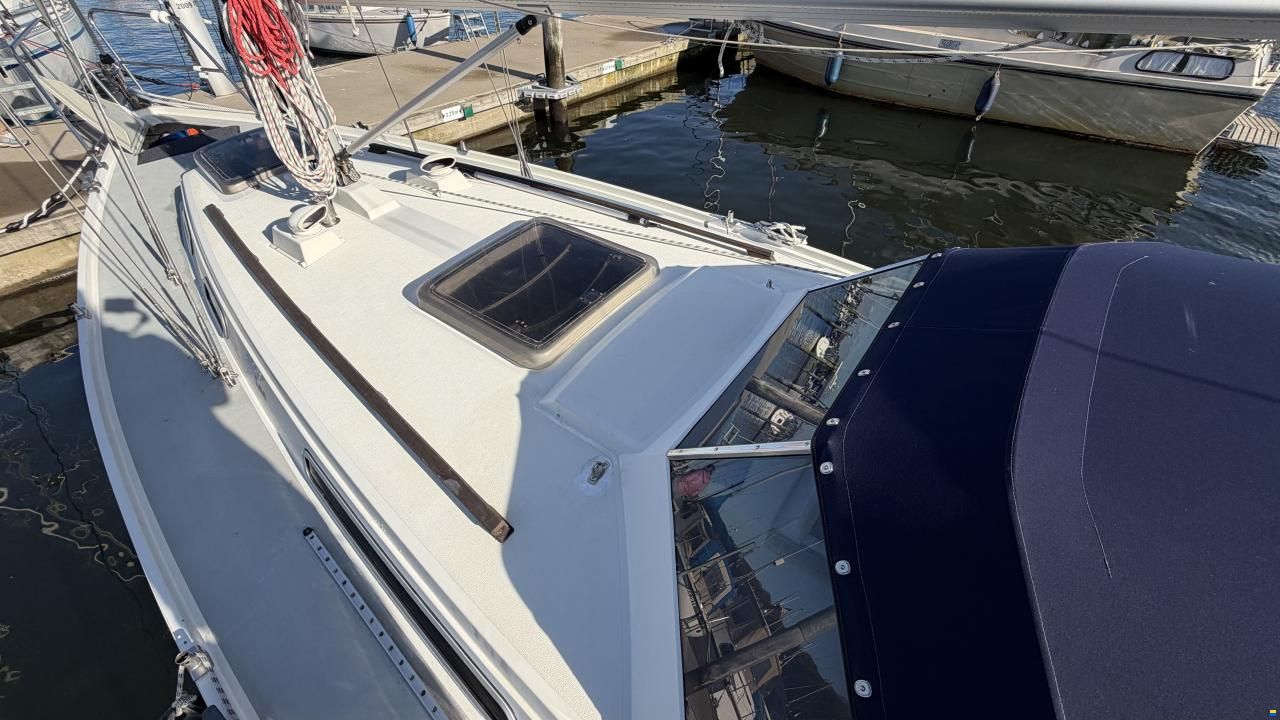LM Mermaid 290